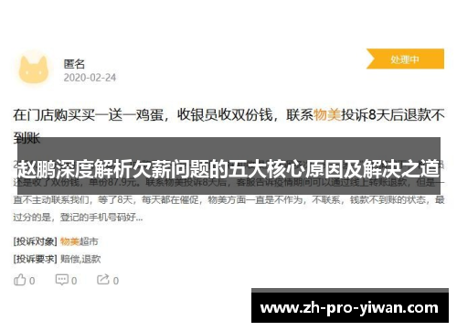 赵鹏深度解析欠薪问题的五大核心原因及解决之道 赵鹏深度解析欠薪问题的五大核心原因及解决之道