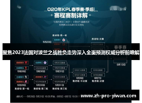 聚焦2023法国对波兰之战胜负走势深入全面预测权威分析前瞻解